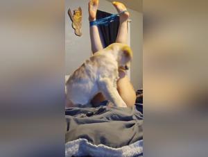 porno animals tiktok beast