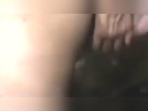 Discover Ecstasy with Horses