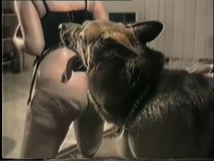 The Hottest Animal Sex Videos