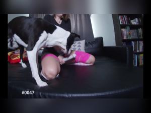 Video 02: La selvaggia Milly e la sua condivisione animata