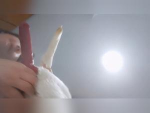 The chemistry between the cat and her chouanette is undeniable in this real beastiality scenario