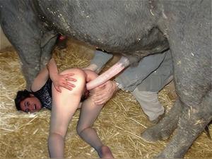 Scopata hardcore con animali: vai oltre i limiti