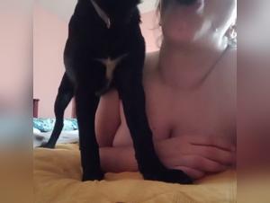 teen bestiality dog sex