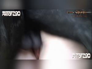 Deconstructing the Taboo: Fucking a Dog