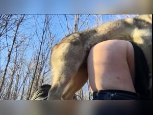 Bestiality and dog sex videos that will thrill you