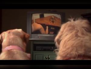 Sehen Sie sich das vollstandige Video dieser Bestialitatsgeschichte an