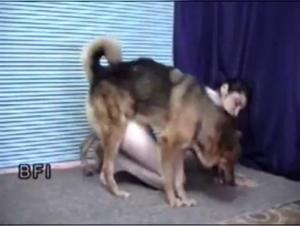 Watch this shocking zoophilia video