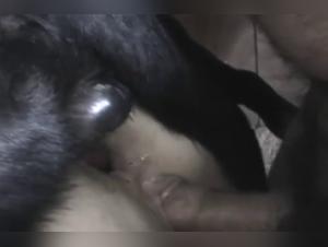 Bestiality Sex Video with a Slutty Wife