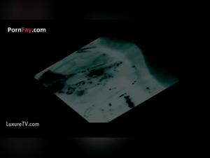 A unique experience: Elise and the world of bestial sex