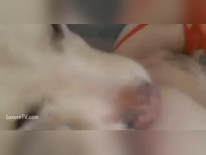Hard Bestiality Sex Scene with a Slut and her Dog