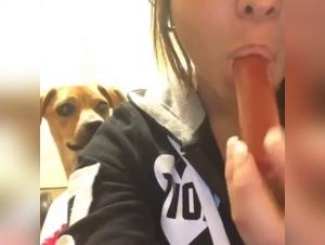 Shocking and exciting zoophilia video