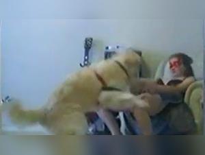 fucking animal zoo lkoo