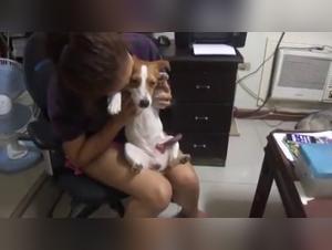 Zoophilia Video: Discover bestiality sex with a dog