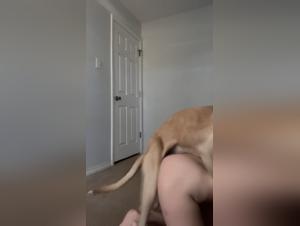Dai un'occhiata a questo video di sesso bestiale con un'adolescente e il suo cane
