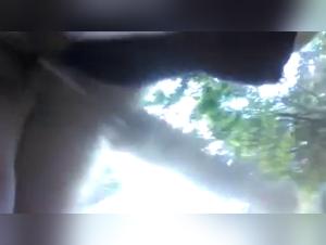 Bestiality sex video: a woman and her dog in nature