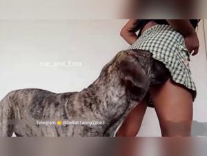 Shocking and exciting images of sex with a dog