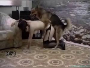 A game of forces and soft caresses