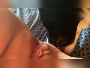 Bestiality Sex Videos: Discover Intense and Shocking Moments