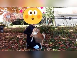 Dog Sex with Women and Cats, Anal Fisting with Dogs