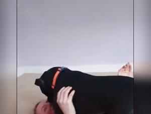 tikzoo & boundaries of desire