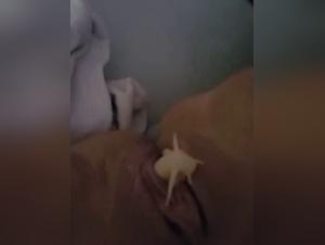 A unique and intense experience between a woman and her dog