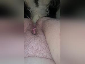 Bestiality sex videos: shocking and exciting images
