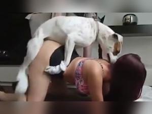 Dog sex video: experience the extreme
