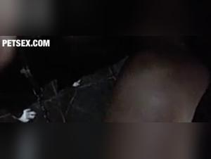 Exploring Passion: Dog Cum