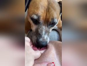 Dieci anni di ossessione bestiale