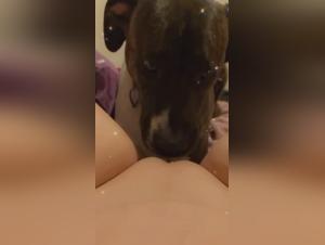 canine bestialitysex treatment