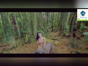 El Bestiafilismo en los Cartones Animados: Escenas Salacistas con Perro