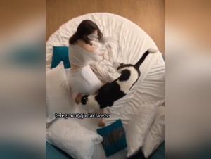 Atti Sessuali di Cane: Immersioni Hardcore nel Mondo della Bestialità