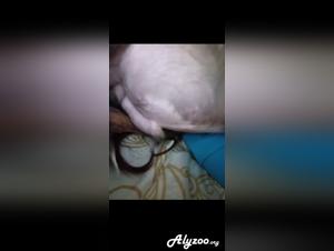 Zooxxx: compilazione erotica proibita