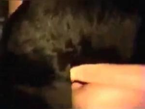 Sex with Animals Videos: Discover the Forbidden