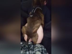 Videos of extreme zoophilia with a dog