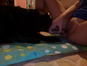 Sex with dog: a slut gets fucked by an animal