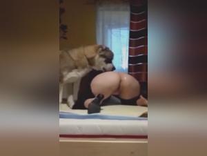 Teil 3: Rohe Dominanz und Tierverlassenheit mit Milly