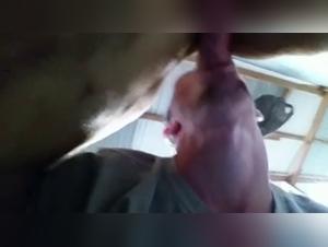 This Zoophilia Scene is Extremely Shocking!