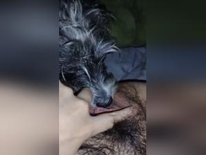 Extreme Sex Video: Dog and Woman