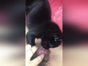 Extreme Intimacy: A Closer Look at the Asian Girl and Her Canine Companion