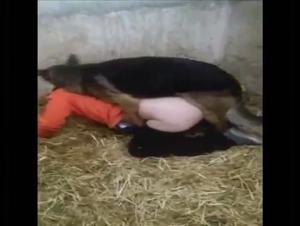 Intense and Exciting Zoophilia Video