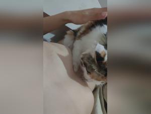 Donna divertente e connessioni animali intime