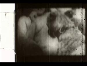 Watch this extreme dog sex video