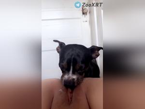 Esplora il piacere selvaggio: cane, donna, desiderio incontrollabile