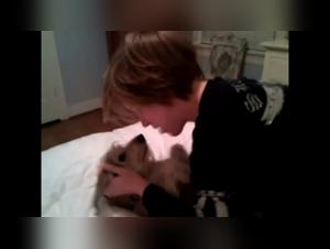 Extreme dog sex video