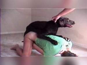 Equitazione: un'esperienza bestiale e irresistibile