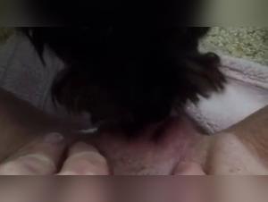 Sex with a dog: a beastly and extreme video