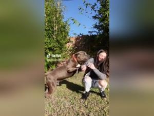 Discover the Limits of Bestiality in this Hardcore Video