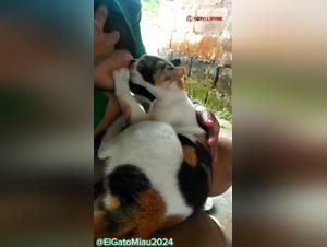 Beyond Boundaries, Raw Truth