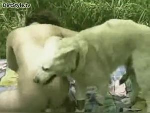 Shocking sex scene with a dog